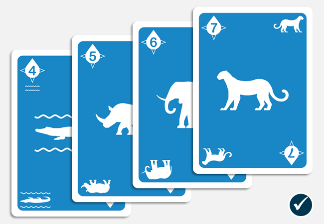 BeloZ Four-Card Straight Flush